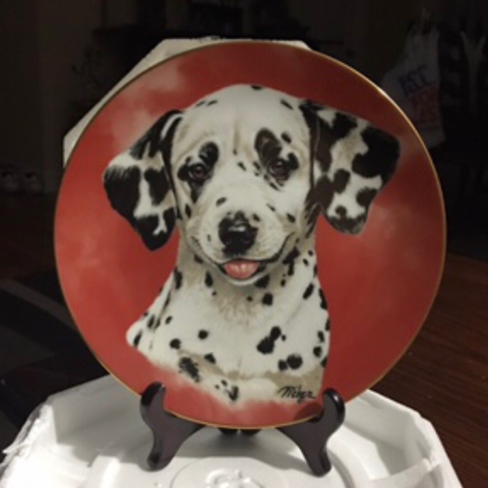 Collectors Decorative Plate